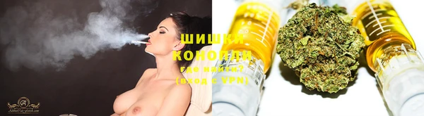 spice Сясьстрой