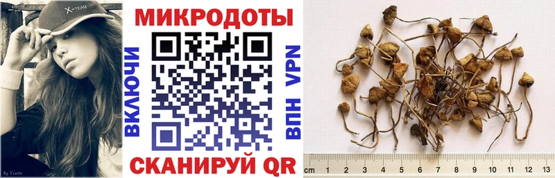 Галлюциногенные грибы GOLDEN TEACHER  Купить  Новосокольники 