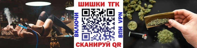 Шишки марихуана THC 21%  Купить закладки  Новосокольники 